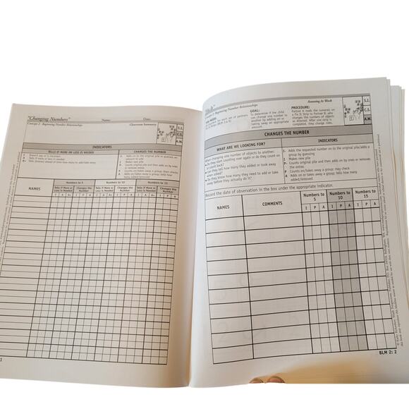 Changing Numbers Book 2 Kathy Richardson 45 Student Forms Assessing Math Concept - Picture 6 of 14
